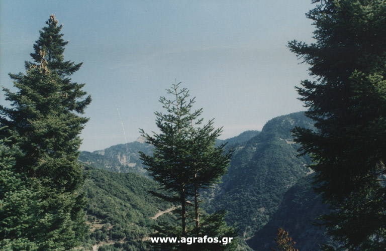Καλοκαίρι 2003